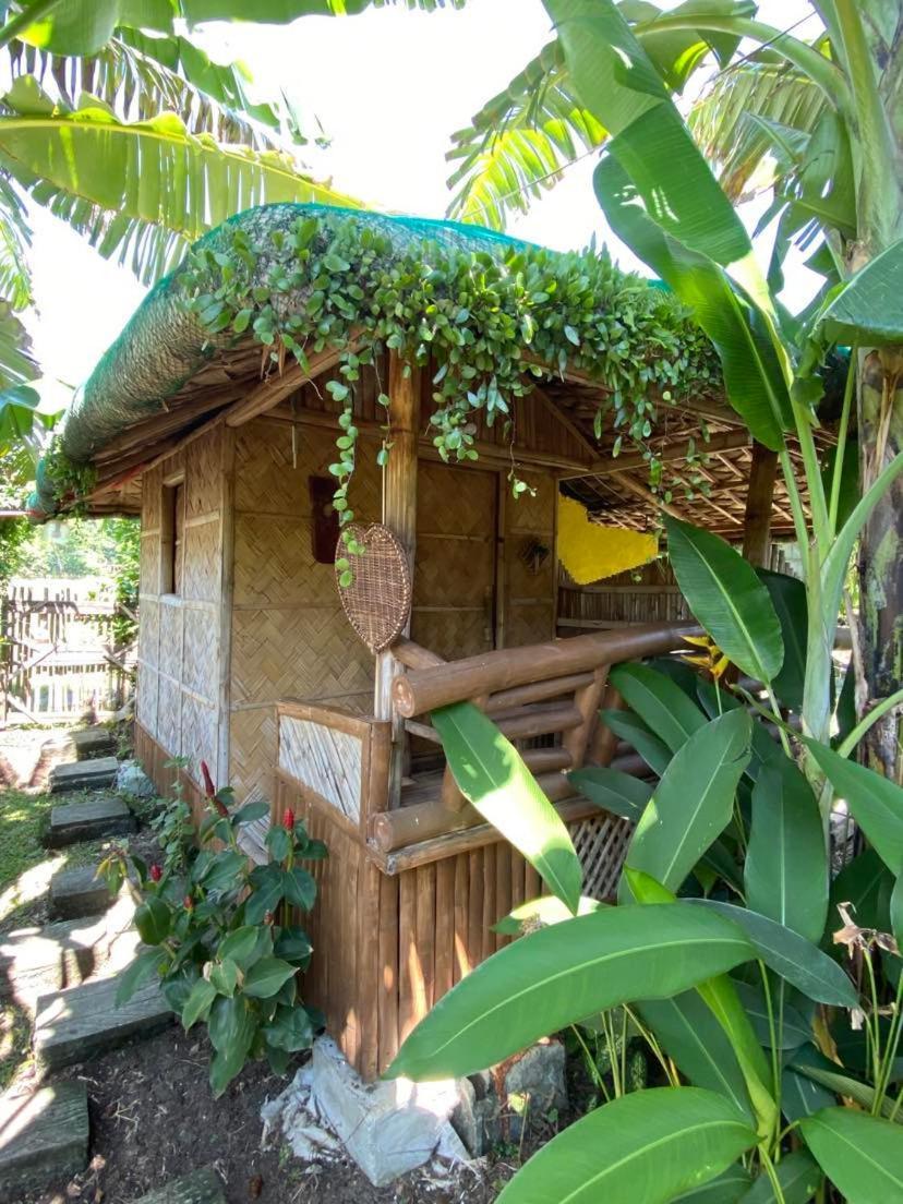 Dupas Luce Love Lodges Talipan Dış mekan fotoğraf